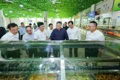 <b>整治边不正之风和问题</b>